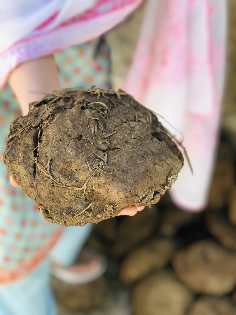 kee2489's tweet image. مجھے میرے گاؤں کی سادگی کمال لگتی ہے❤️

#VillageVibes