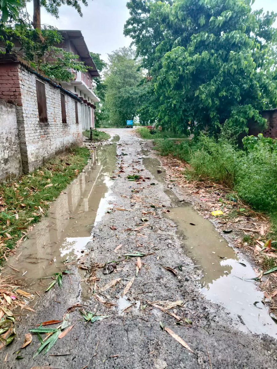 PankajK82051351's tweet photo. @JitinPrasada 
@uppwdofficial 
@CMOfficeUP 
@dm_kushinagar 
महोदय अवगत कराना चाहता हु कि इस बदहाल सड़क का भी ध्यान देने का कृपा करें आय दिन एक्सीडेंट होता है और दुर्घटना का भय भी बना रहता है! https://t.co/5OKkT7qMZ2