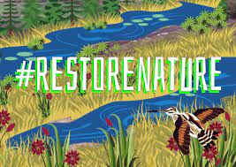 LipuODV's tweet photo. .@ArielBrunner di @BirdLifeEurope ci ricorda che dobbiamo cambiare la nostra visione economica.
Serve lavorare con e non contro la Natura!
Deve essere un impegno morale di tutti noi!
#RestoreNature https://t.co/PAGxOQw8Fj