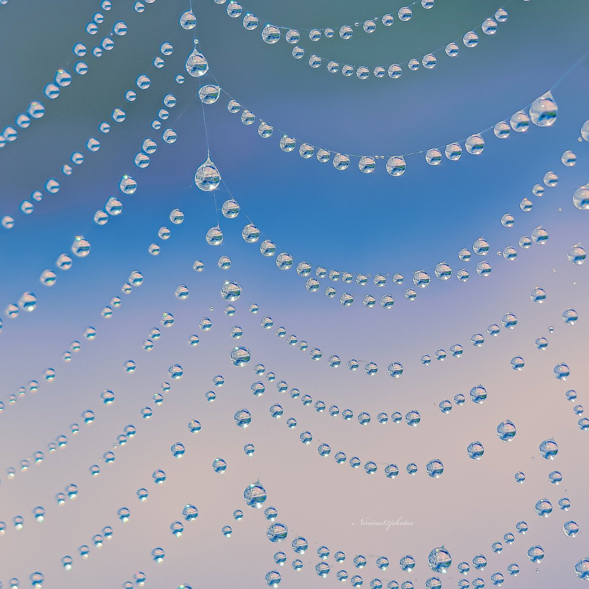ninine82's tweet image. Rideau de perles !!✨💖 #waterdrop