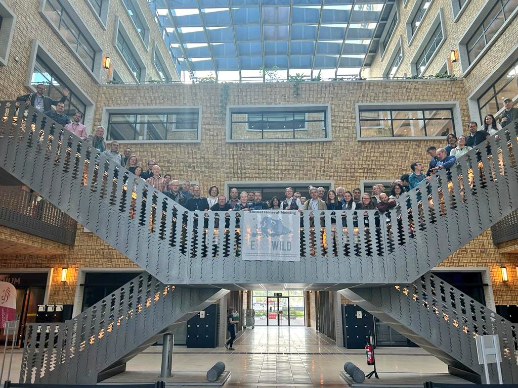 The #enetwildAGM3 came to an end. Two days of fantastic talks and work. Thanks to all participants for having come and also to all people involve into <a href="/enetwild/">ENETWILD project</a>. We'll continue working on #monitoring #wildlife 🐾🌍 #OneHealth <a href="/Animals_EFSA/">Animals EFSA</a> @INBOVlaanderen <a href="/IREC_CSIC_UCLM/">IREC (CSIC, UCLM, JCCM)</a>