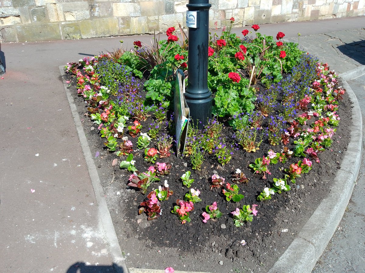 Bed outside the Old Churchyard planted this morning #ourbloom