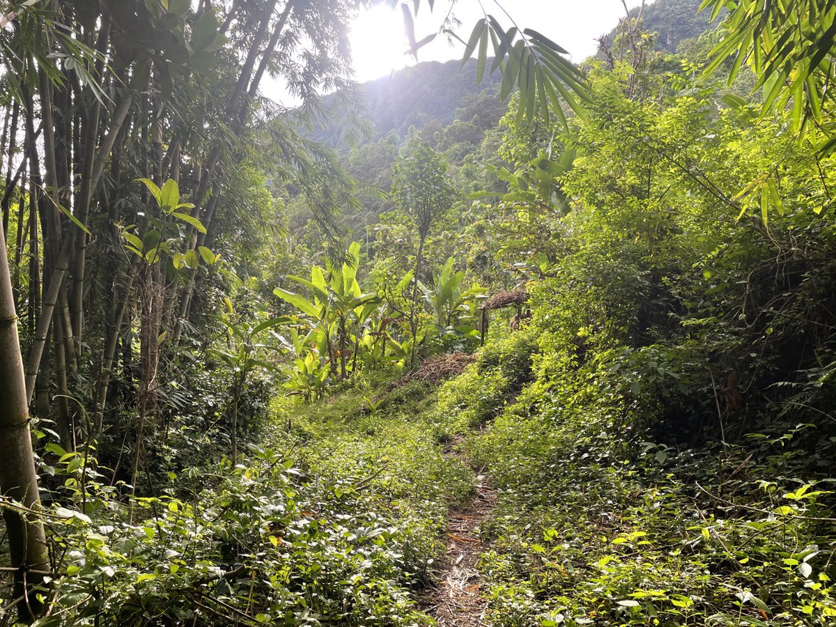 heyitsgeorg's tweet photo. Celebrate the joy of exploring new paths and getting lost in nature's beauty.
Embrace the unexpected and #MoveOutside for thrilling adventures that await around every bend. https://t.co/6tPfU4JTE4