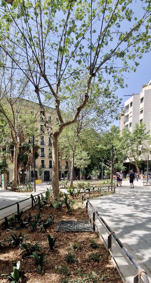 xavimatilla's tweet photo. La nova plaça-jardí a Enric Granados amb Consell de Cent #SuperillaBarcelona https://t.co/cLpLSJfchR