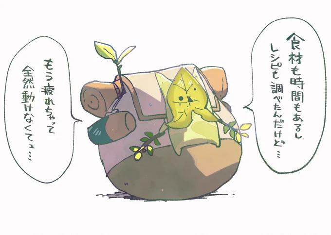 全然自炊とかできなくてェ……