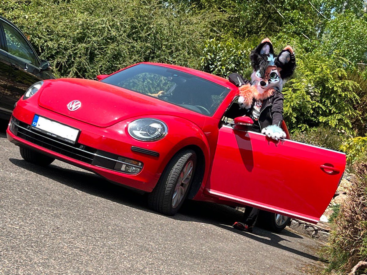 Me and my car :3 my ladybug 🐞

📸 <a href="/RustyFoxi/">Rusty Fox</a> 
🧵<a href="/Fireflystudiof2/">Fireflystudiofurry</a> 

#furryfandom #furry 
#zodiacon2023