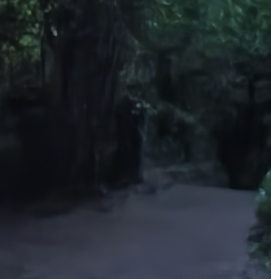 Can you see the mysterious figure, taken last night at Hulls Hessle foreshore while we were out and about ! <a href="/hulllive/">Hull Live</a> @paranormal_our <a href="/PaulAubrey13/">Paul Aubrey Haunted Paranormal Researcher. History</a> <a href="/Yfielding/">Yvette Fielding</a> <a href="/TheHauntedHub/">The Haunted Hub</a>