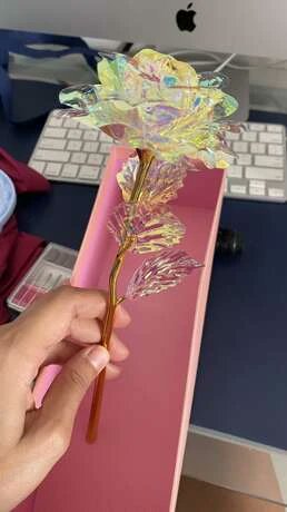 1overstudio's tweet photo. wts lfb ph (shèin discounted item)

📍 Artificial rose with Box 
💸 85 php

— free sf nationwide
1-2 weeks delivery 
mop: gcash

🏷️ enhypen twice nct 127 dream treasure nmixx stayc blackpink itzy straykids exo txt bts svt seventeen kep1er ive pc sealed unsealed dark moon https://t.co/Zu2CKqok01