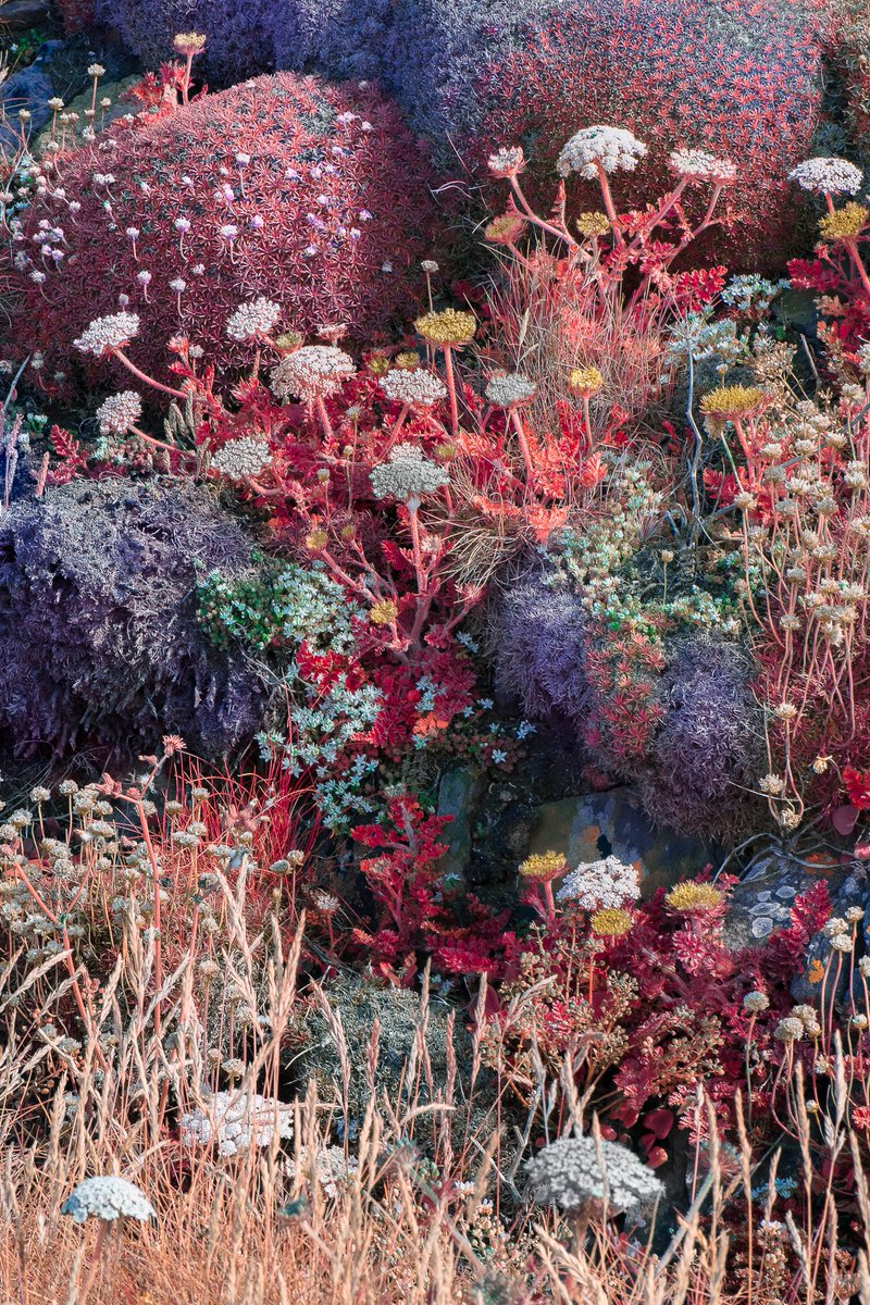 Tom Leighton tweet media