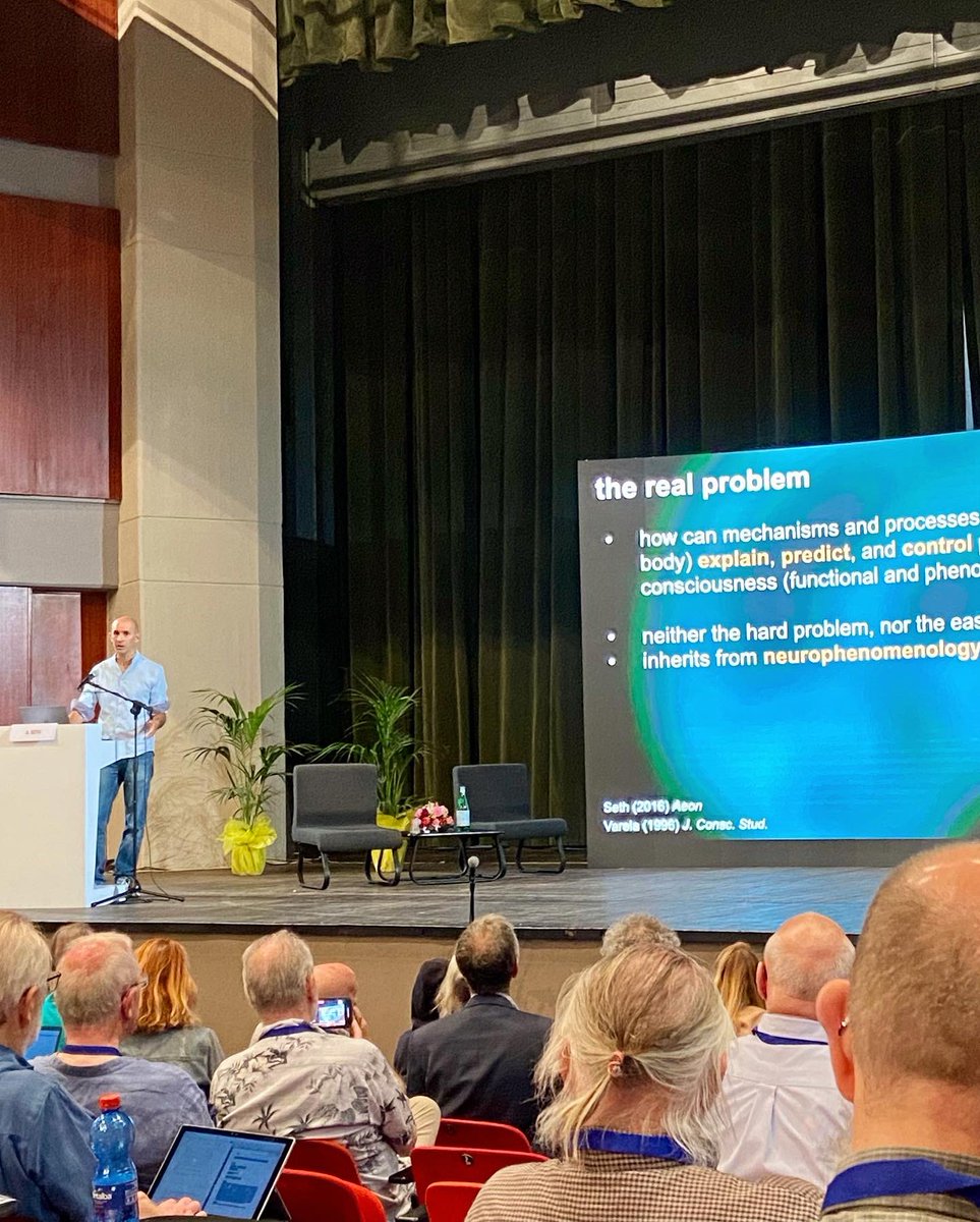 BrainyBrenna's tweet photo. Had a wonderful time in beautiful Taormina Sicily for The Science of Consciousness conference and the discussion of the wide interdisciplinary approach to the question of consciousness. Looking forward to jumping further into this topic through the lense of neuroscience. https://t.co/xpcLVe3Srf