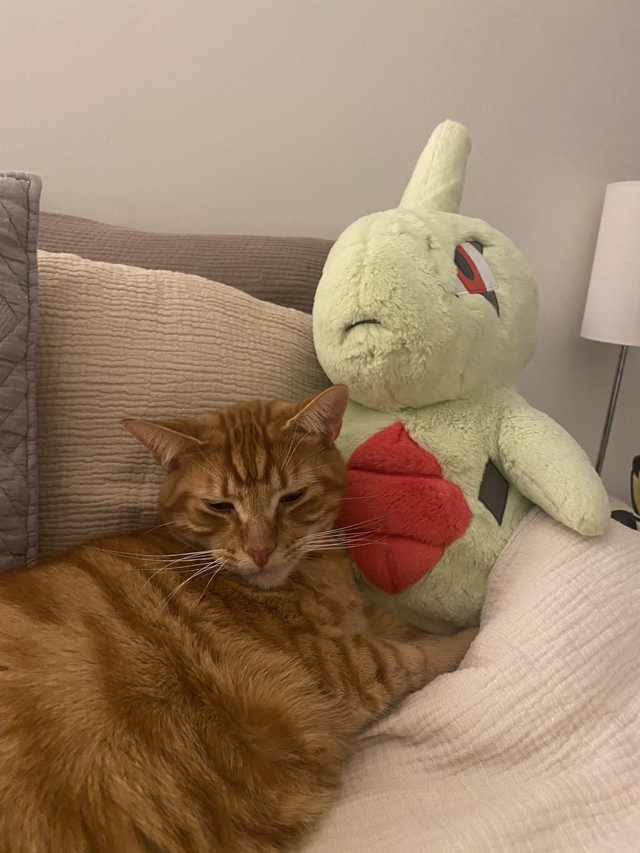 めろん🍈 tweet media