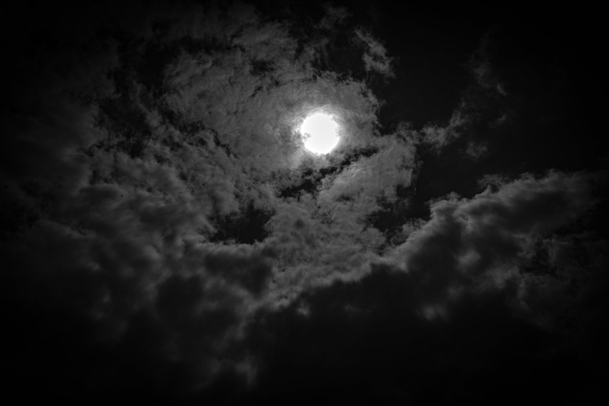 rvonvihar's tweet photo. 𝖛𝖔𝖎𝖉 𝖎𝖘 𝖈𝖔𝖒𝖎𝖓𝖌...
#photo #darkness #sunphoto #blackandwhitephotography #photooftheday https://t.co/uYR7IQcl9e