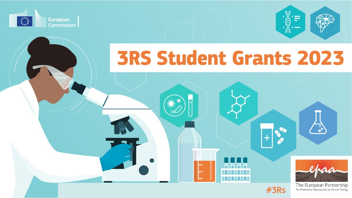 📜 Call for submissions - deadline 5 June  ⌛️
 
The @EPAA3Rs is offering grants for #students to attend @EUROTOX2023  and @WC12Canada! Don't miss this chance to showcase your work on the #3Rs for alternatives to #animaltesting 👇
 
single-market-economy.ec.europa.eu/calls-expressi…