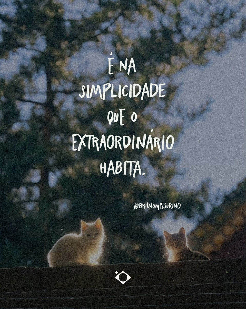 maisbrasil's tweet photo. Simples assim. ✨ https://t.co/vznGVn9BNM
