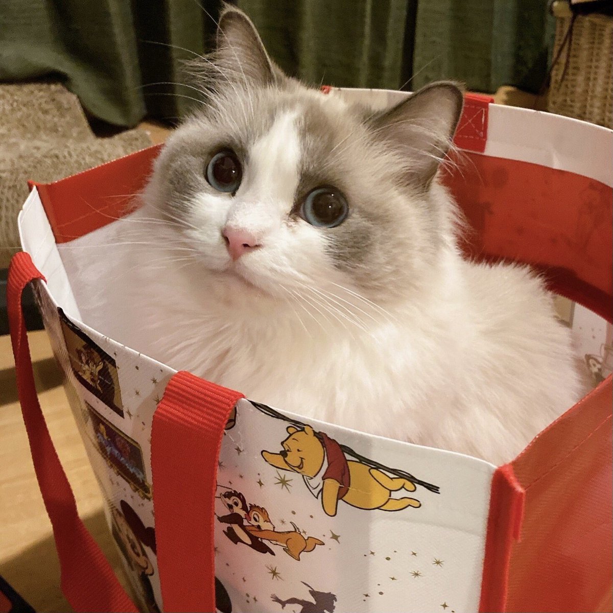 美品】 もきもき様専用 - laboreocupacional.com.br