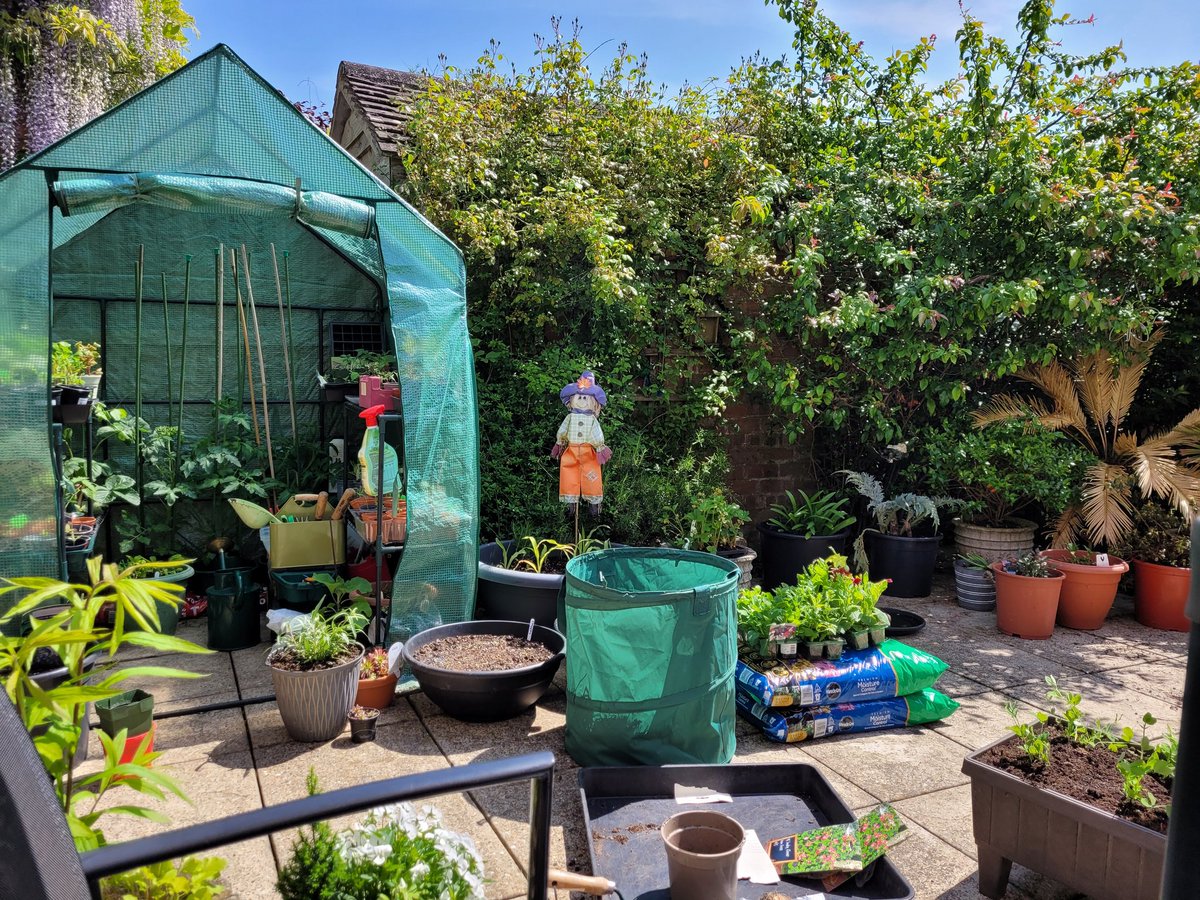 Denise Hall tweet media