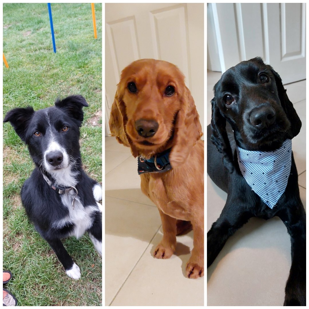 AmyBack5's tweet image. #NewProfilePic