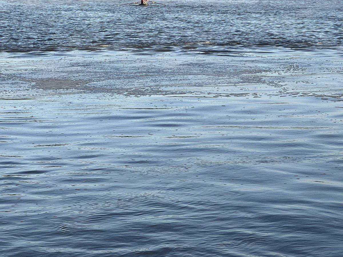 maddogrow's tweet photo. @dcwater @DCGovernment Noticed a significant discharge of brown water just below Three Sisters on the Potomac around 650am.  Second discharge observed this week. Anything to be concerned about?  @PotomacRiver https://t.co/HUyOzgVtLL