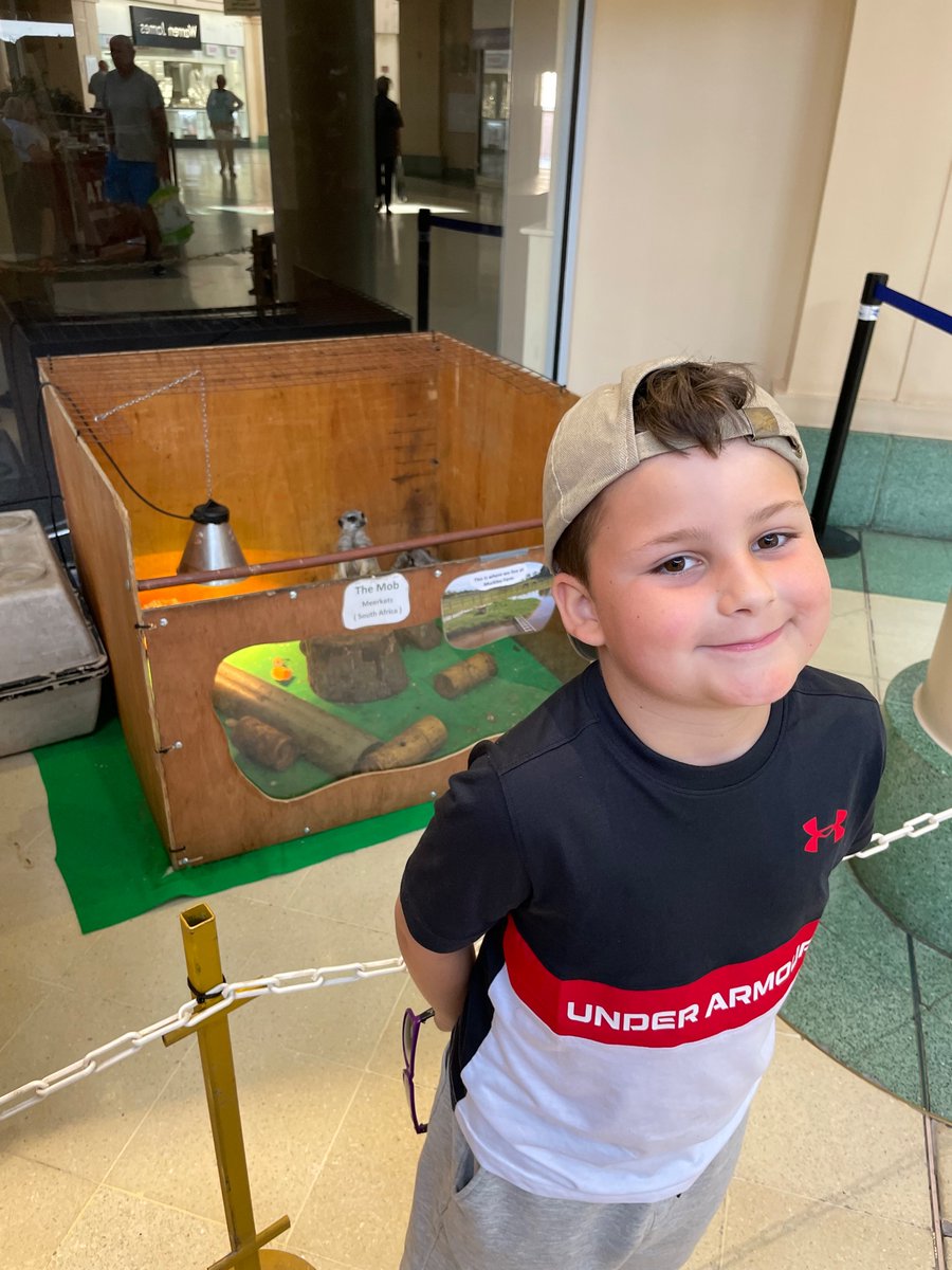 dean_mummy's tweet photo. Very proud of Dean he enjoyed seeing the animals and stroked/touched 4of them wich is massive for dean 💙 even mummy was brave 😳😂 @class2bws  @school_ws https://t.co/NWRbhoevtT