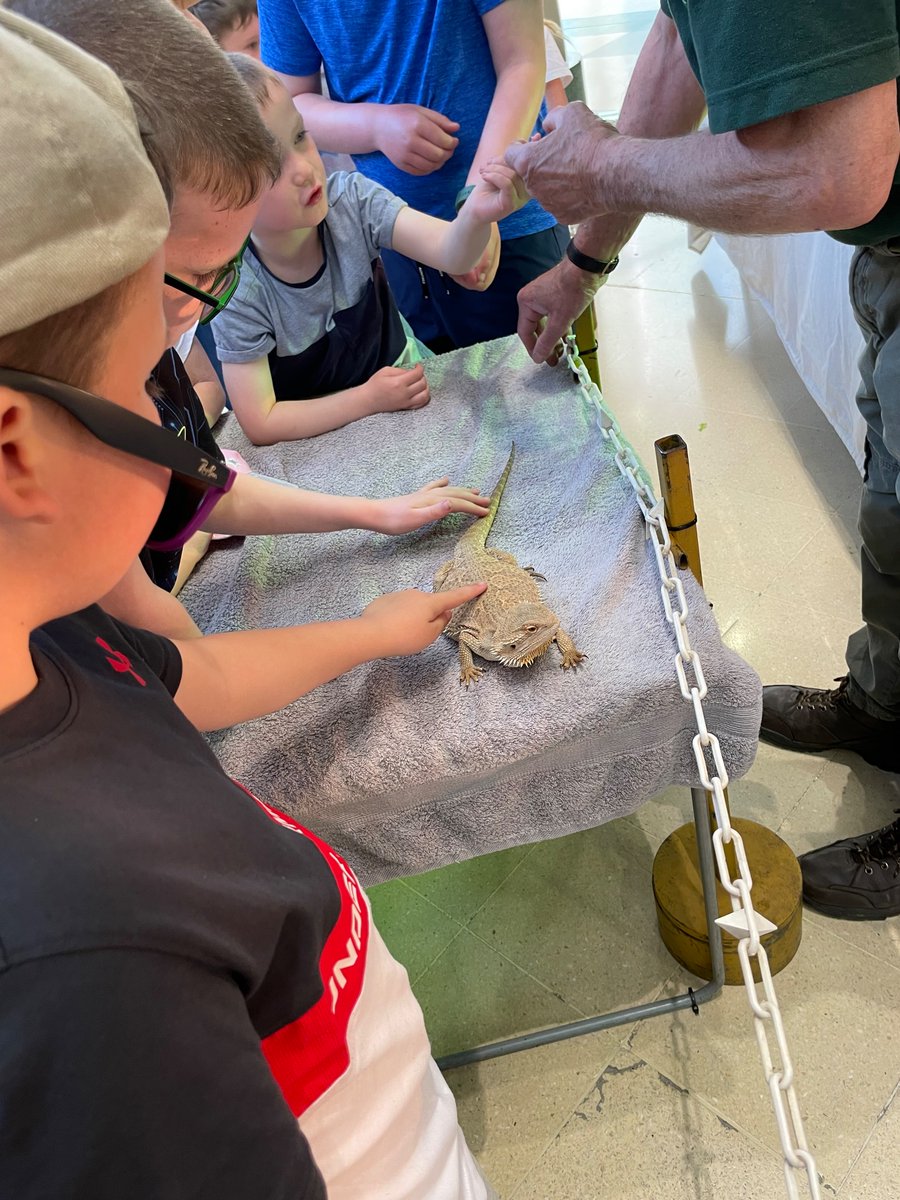 dean_mummy's tweet photo. Very proud of Dean he enjoyed seeing the animals and stroked/touched 4of them wich is massive for dean 💙 even mummy was brave 😳😂 @class2bws  @school_ws https://t.co/NWRbhoevtT