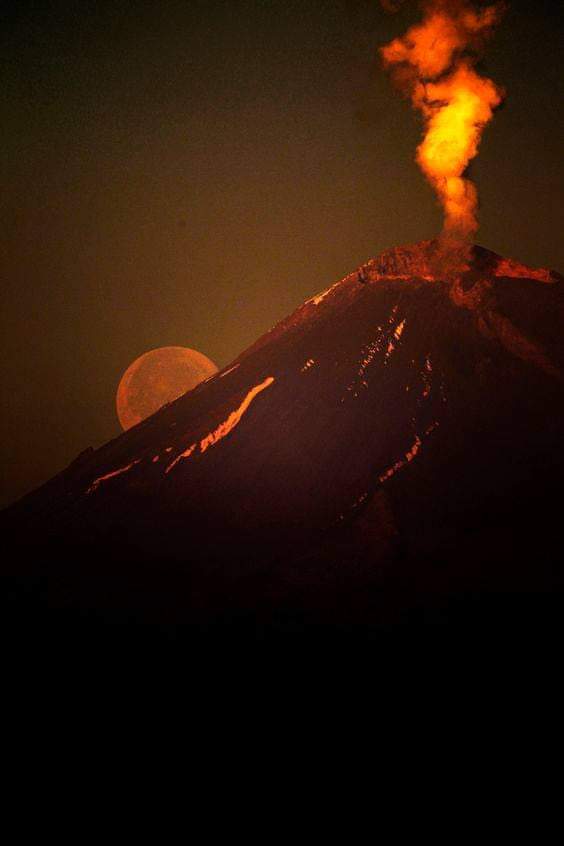 ABO - BALONCESTO tweet media