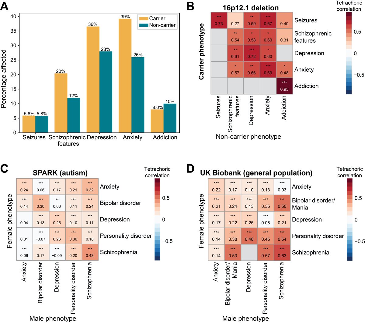 We also found strong evidence of assortative mating on psychiatric phenotypes in parents of children with neurodevelopmental disorders and spouse pairs in the general population.