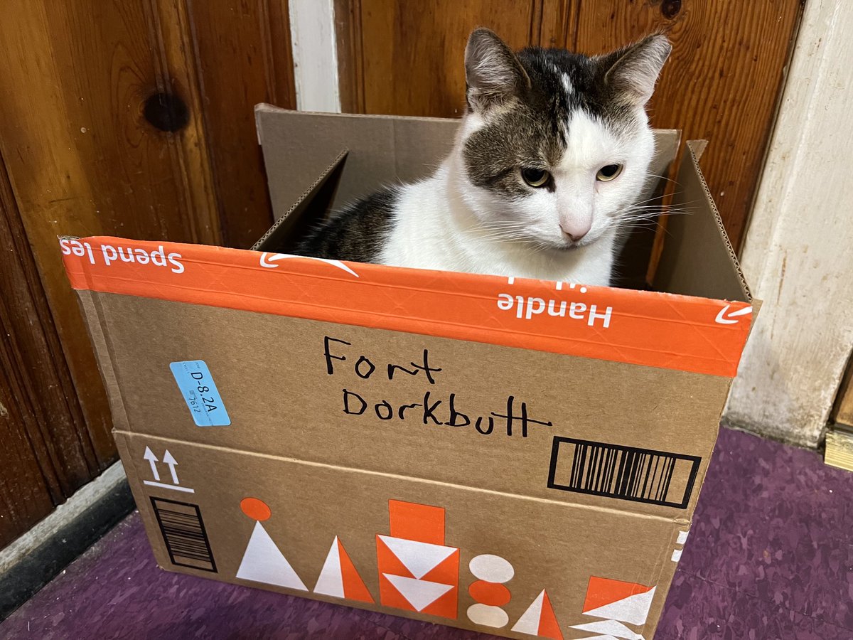 OhRatboy's tweet photo. Caturday reinforcements are here ⁦@LisaLoeb⁩ ⁦@LilandMad⁩ ⁦@SimonsCat⁩ ⁦@EvilLoeb⁩ ⁦@FeistMusic⁩ #Caturday #LisaLoebcats #Twittercats https://t.co/7DGRkes0MZ