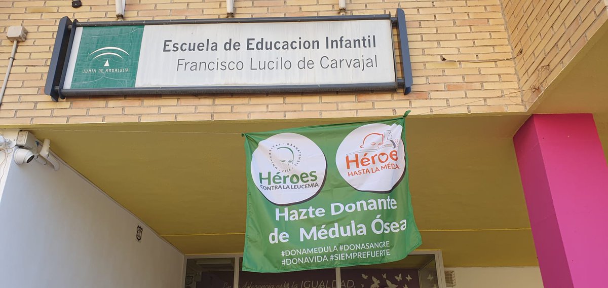 ¡Una nueva luz en nuestro camino para investigar la leucemia infantil! 🌟👉 La Escuela Infantil Lucilo Carvajal "La Casita" de Albolote ha donado 815€ a nuestro proyecto de investigación. ¡Gracias por vuestro increíble apoyo en esta lucha! 🤩💪 #LeucemiaInfantil #DonaVida