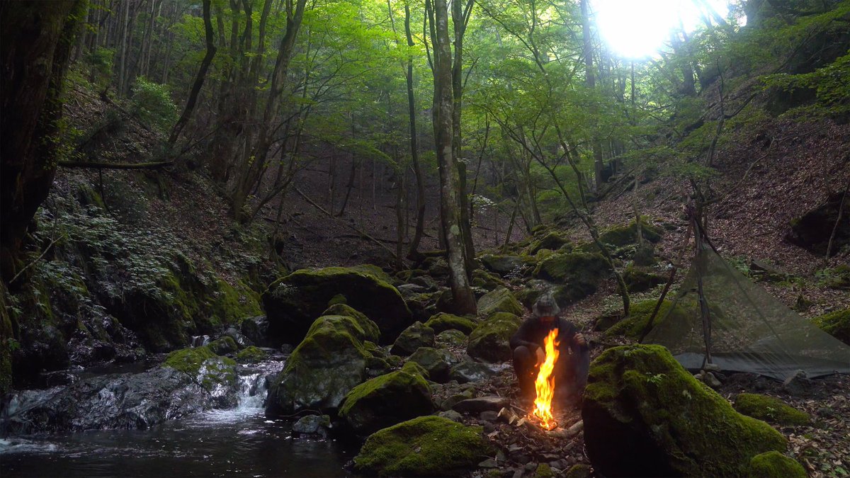 YANOYADW's tweet photo. 野営地探しはこれだからやめられない！

地図にない幻の旧道を蚊帳装備で探索！辿り着いた秘境で野営キャンプ
https://t.co/nVD04ExzFw https://t.co/hvWkK56VsK