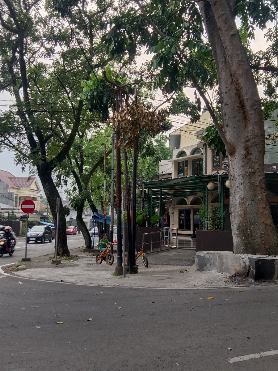 Izin melaporkan ranting patah membahayakan <a href="/PRFMnews/">Radio PRFM</a> <a href="/dpkpbdg/">DPKP Kota Bandung</a>  TKP jl Sumbawa 9