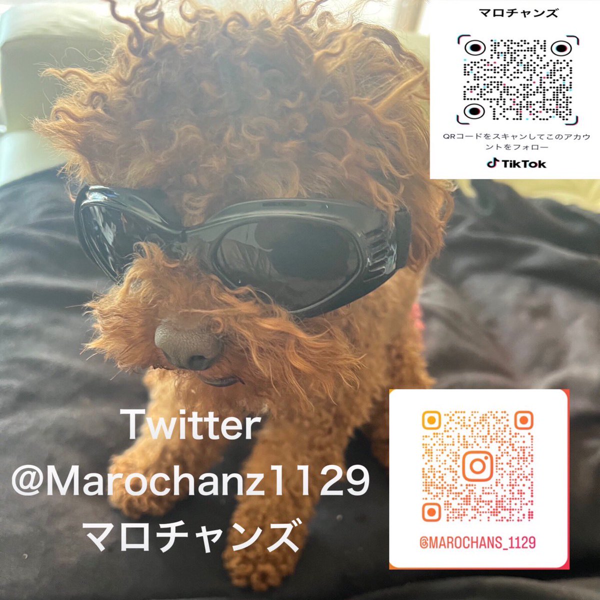 Marochanz1129's tweet photo. 本日22時からTikTokライブをから始めます😆
重大発表&amp;Amazonギフトを視聴者に配ります😋
ぜひ見に来てください！ https://t.co/dv4s2ksH09