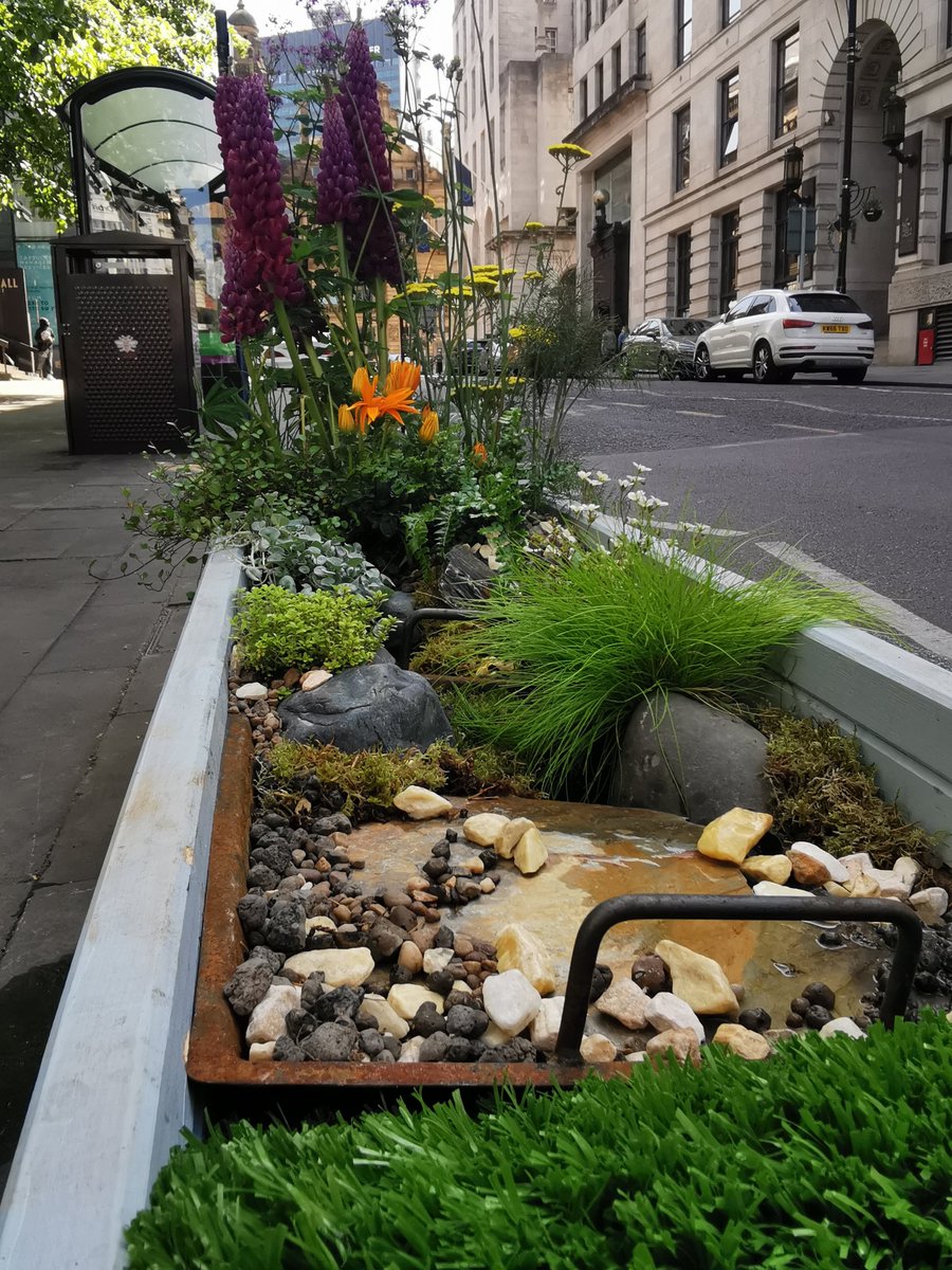 Herbarium Manchester tweet media