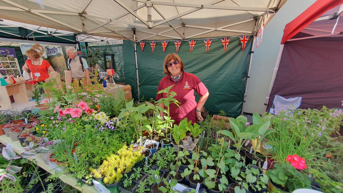 Malton in Bloom tweet media