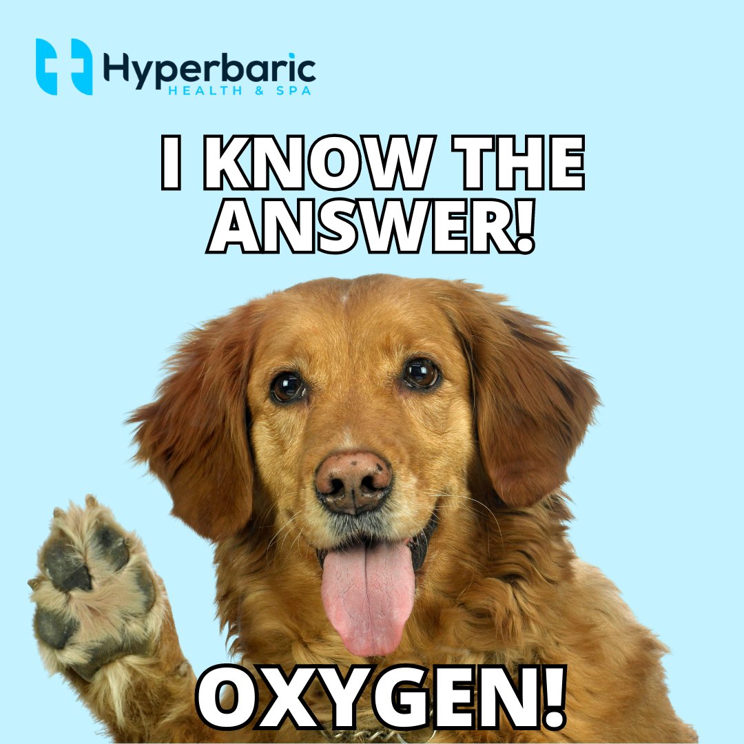What can give your body an increased ability for natural & deep regeneration?

Oxygen! 

Specifically, increased oxygen concentration in the atmosphere. Try a #HBOHT session today!

#hyperbarichealthandspa #hyperbaric #hyperbaricoxygentherapy #oxygentherapy #yegbusiness