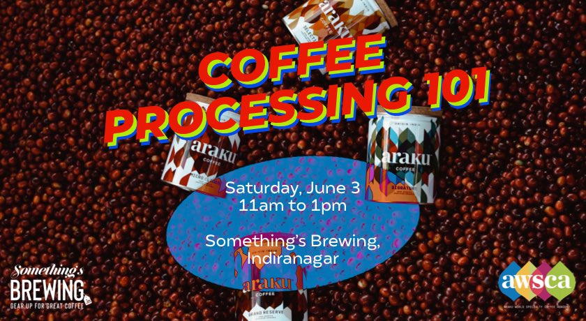 arakucoffeein's tweet photo. Understand Process, Unlock Your Palate ☕️ Ready to brew better at home? This one’s for you. Coffee appreciation is all about understanding how various processes bring about different flavours within coffee beans. https://t.co/3hweGQdf0Z https://t.co/80TfkLc8JD