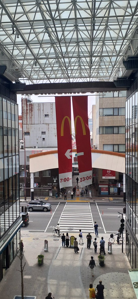 satolruu's tweet photo. 香川の『みやこ』も徐々に

高松市の田町のマルナカの所を
車道沿いに歩いた先の県庁辺りに
 #めんや七福

店主は #Element のTシャツを
着ているから
そのうち、#アクスタ になるかも

#うどんもり がエレメントTシャツ
着ていないのが残念

今回は
#清水屋 のアクスタを貰いに
次は #よしや らしい♪ https://t.co/XxsVOh3eul