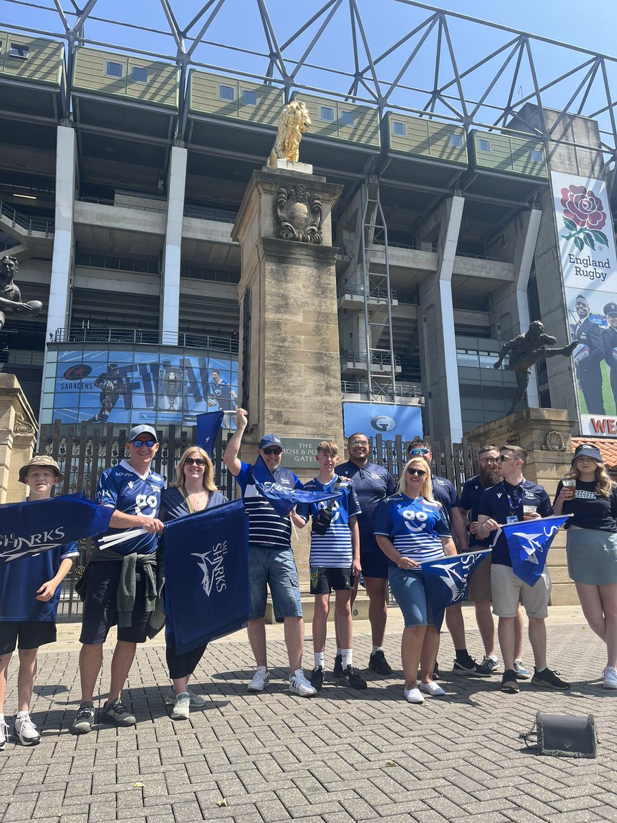 Sale Sharks 🦈 tweet media