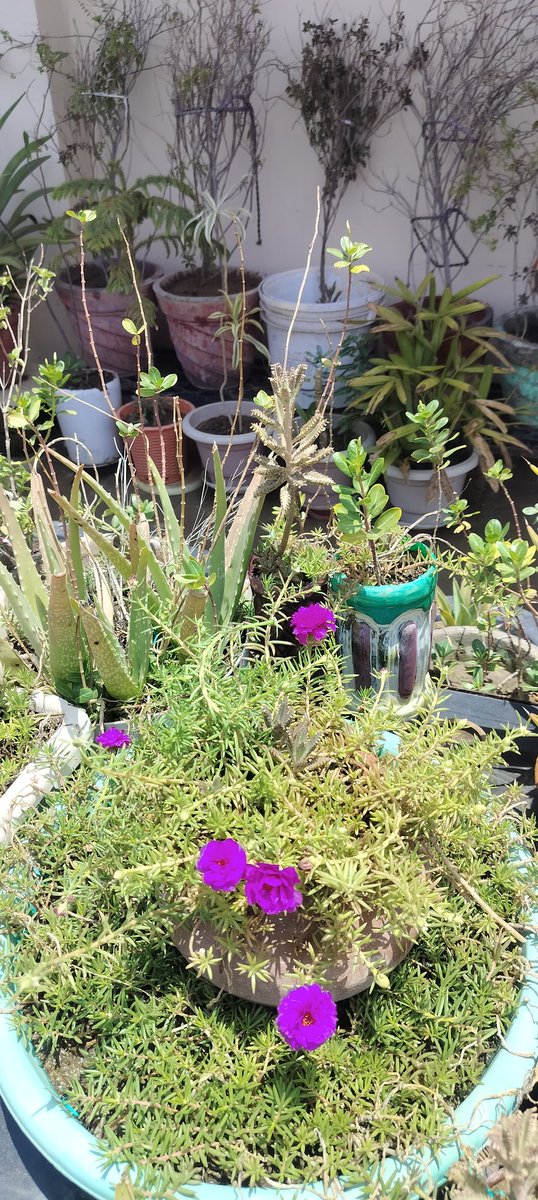 skbansalz's tweet image. #Positive_Vibes ✌️
#Good_Vibes 🥳