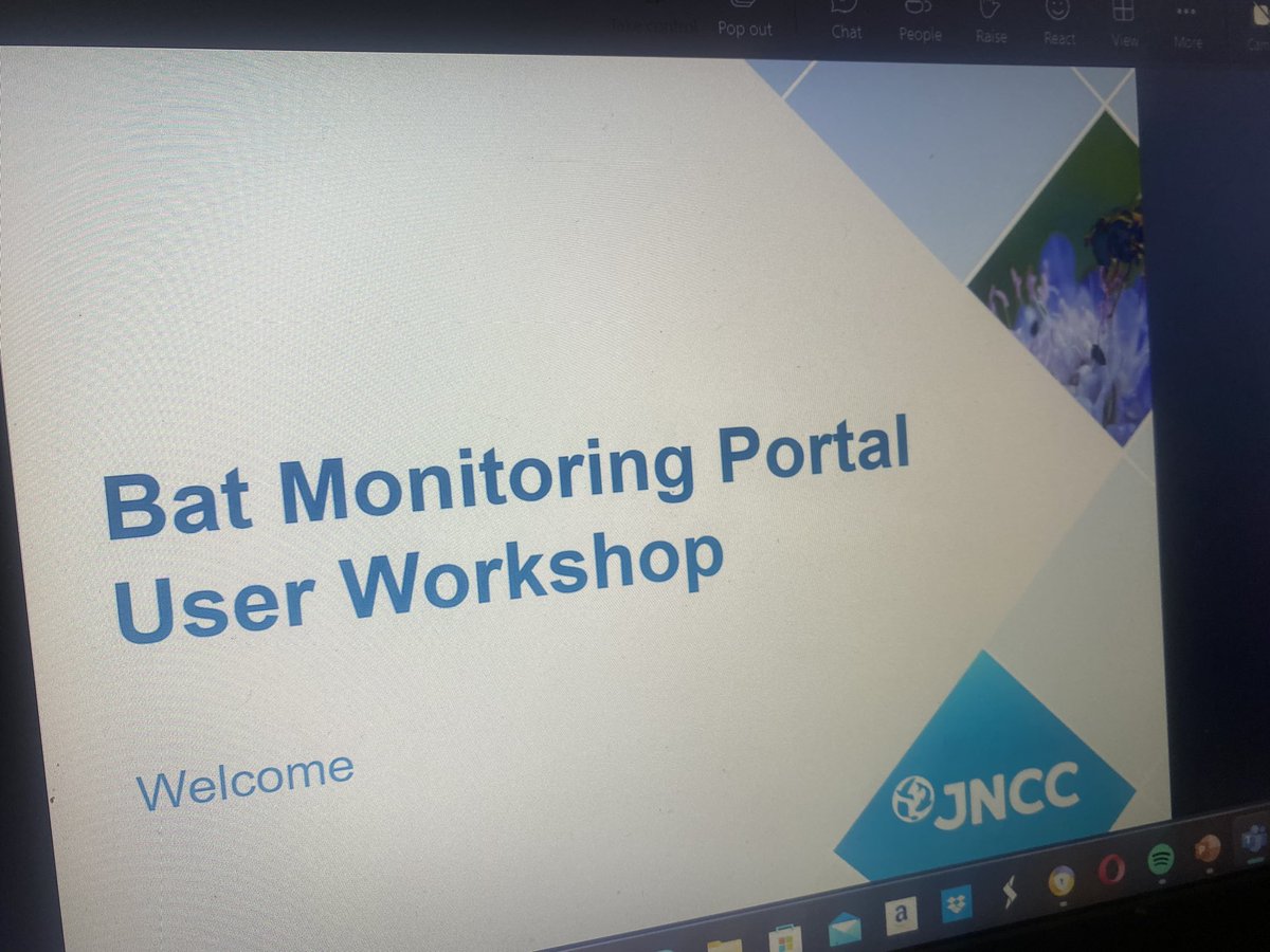 Mich_Parsons's tweet photo. Some great discussion today on improving the #NBMP recording site with fellow volunteers and members from @JNCC_UK and @BCT_NBMP ✨🎉🦇 watch the space! 🙌 https://t.co/SEjzfx6yno