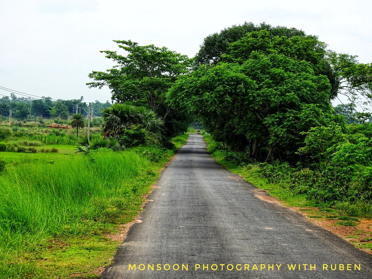 mygeograph82328's tweet photo. During #monsoon i went this #tribal #hamlet #2020 
#Tropical #deciduous #forest 
only #lateeite #soil #zone in #west_bengal #India 
10 km from #durgapur #city 
mainly #santhals #tribe living there and with very low #population density 
#my_geography 
#Ruben https://t.co/OikMykC7G7