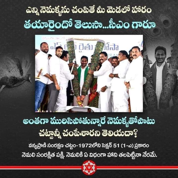 urskskr's tweet photo. @PawanKalyan గారు మీరు నిజంగా దత్తపుత్రుడు కాకపోతే @ncbn కి వేసిన నెమలీకల హారం పై కూడా ఓ #Tweet వేయండి చూద్దాం 🤣🤣🤣 https://t.co/EdDqqF4IKD