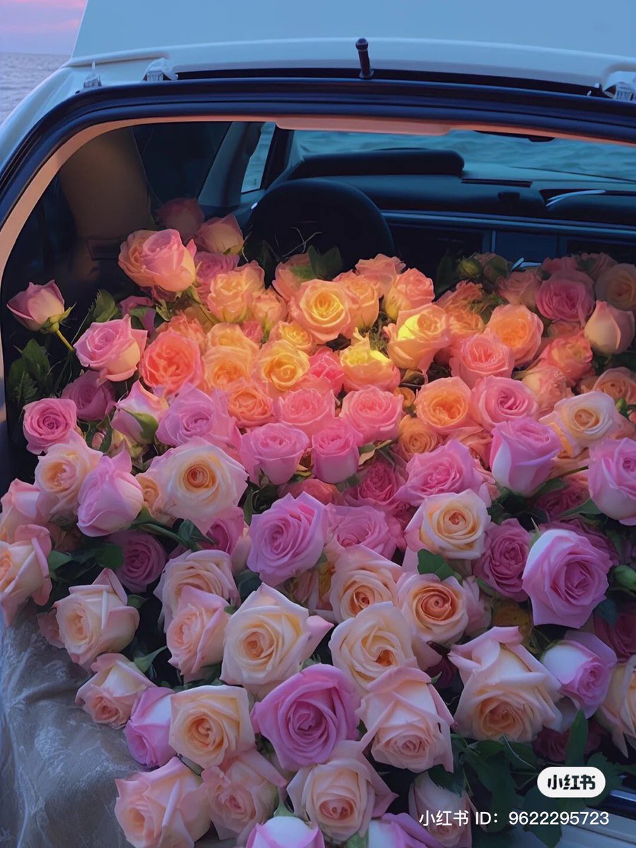 piinkibun's tweet photo. roses <3 https://t.co/8jWeU280Ey