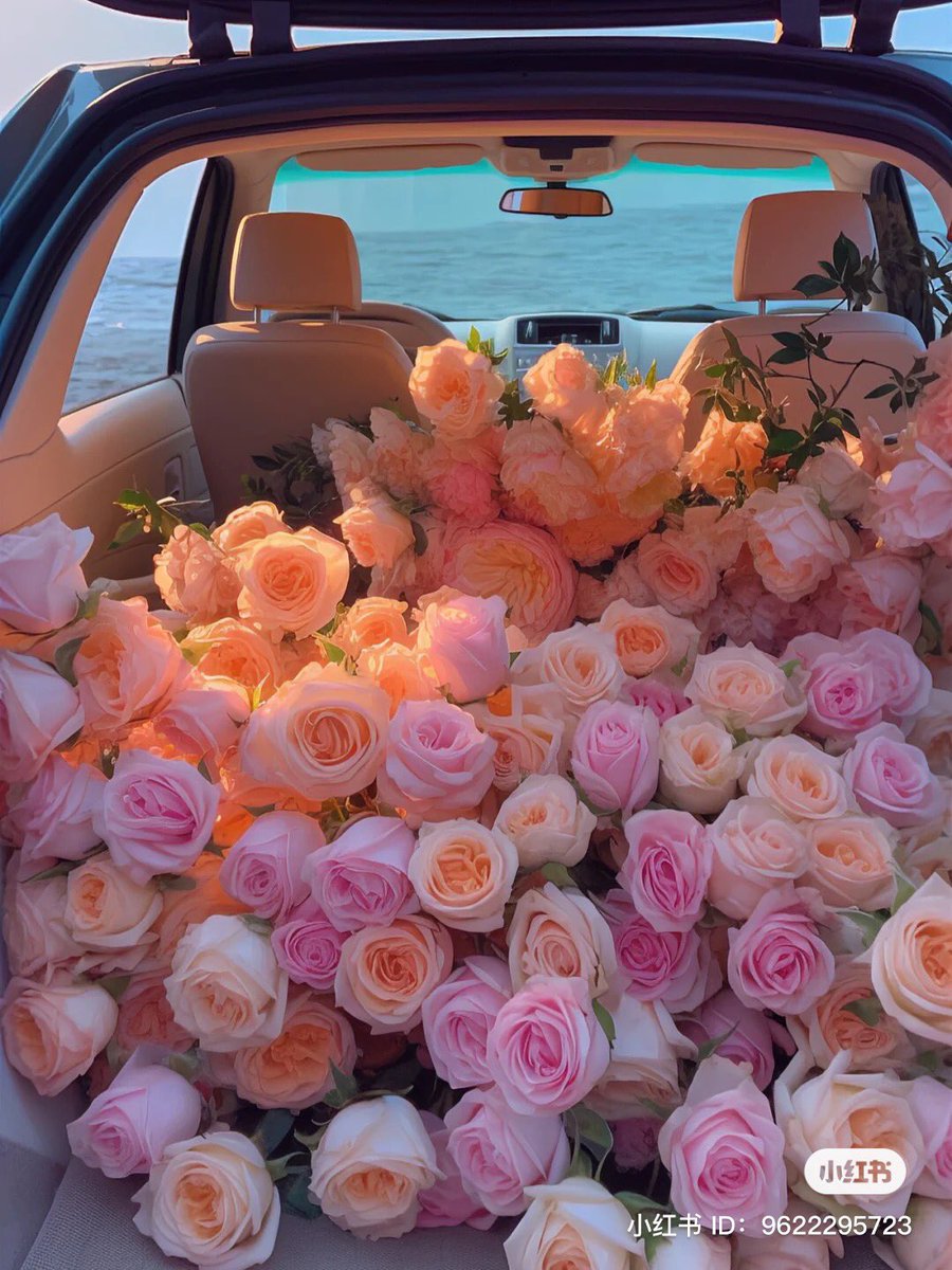 piinkibun's tweet photo. roses <3 https://t.co/8jWeU280Ey