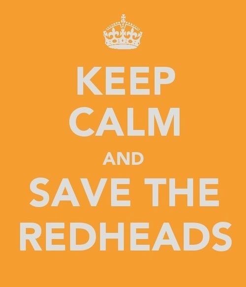 TheRedheadDays's tweet photo. #SaveMeFrom https://t.co/pca9BvxZUH
