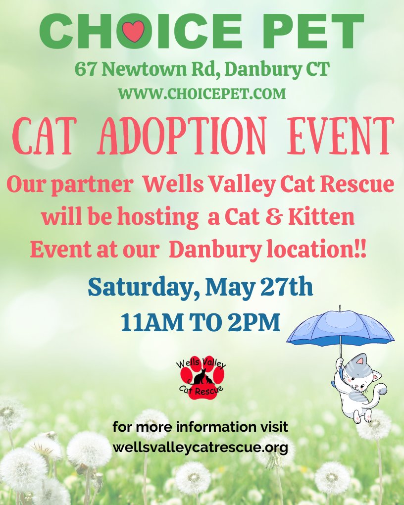 Weekends are for adopting a new pet! Our partner @wellsvalleycatrescueinc is hosting a cat adoption event in our Danbury location! Come meet the cutest kitties! 
Today from 11am - 2pm 🐾💚 #rescuecat #adoptdontshop #rescuekitty