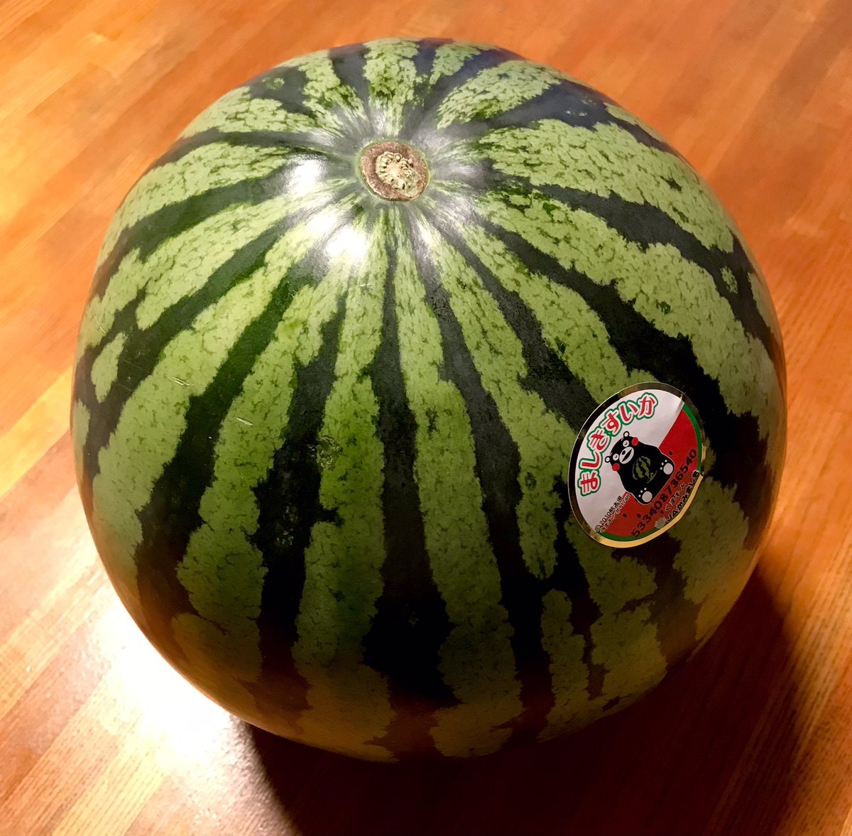 🍉🍉🍉🍉はじまってんのよ🍉🍉🍉🍉