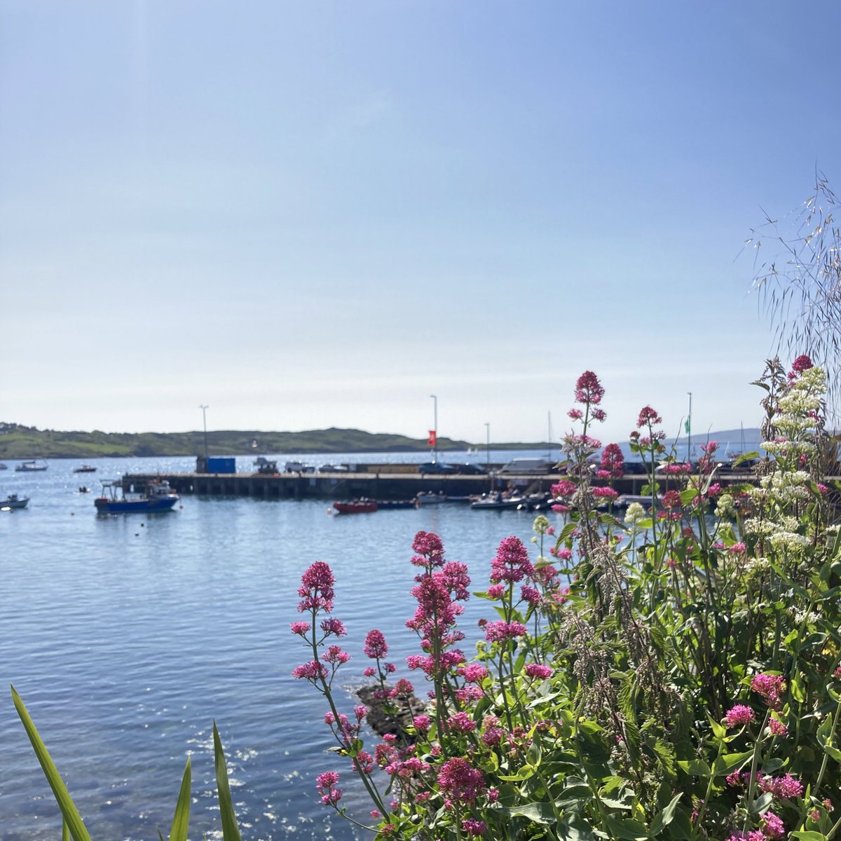 Karlis Dzjamko 🇺🇦 tweet media