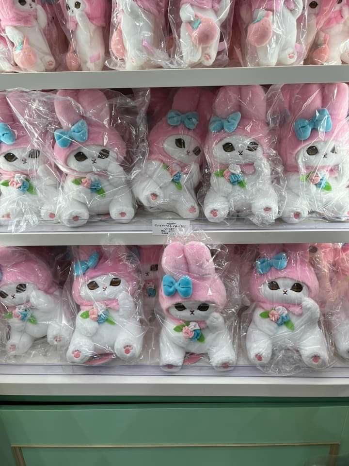 my melody cat plushies 💫