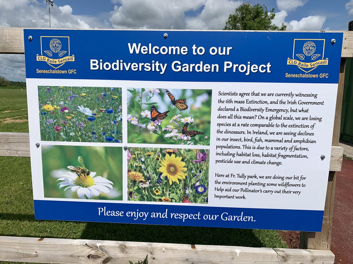 Patrick Haslett (@patrickhaslett) on Twitter photo A sunny morning & some glorious colour at <a href="/SeneschalstownG/">Seneschalstown GFC</a> GAA.
Proof that sports clubs - from grassroots upwards - can play a vital role in promoting biodiversity.
Great to see
🐝🌺🌼🦋🐞
#sustainability #sport #GAA #biodiversity #ireland A sunny morning & some glorious colour at <a href="/SeneschalstownG/">Seneschalstown GFC</a> GAA.
Proof that sports clubs - from grassroots upwards - can play a vital role in promoting biodiversity.
Great to see
🐝🌺🌼🦋🐞
#sustainability #sport #GAA #biodiversity #ireland