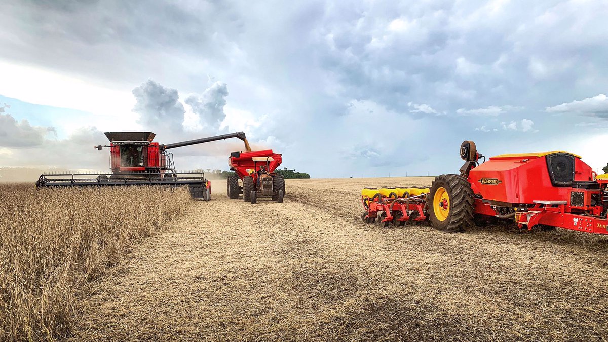 Tempo L in Paraguay, planting directly after soybean harvest 🇵🇾